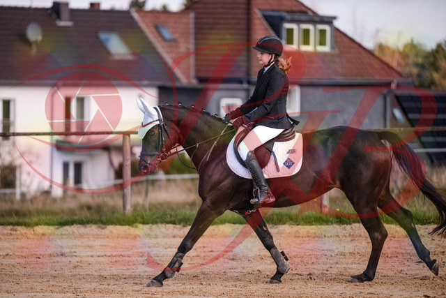 2026_10_03_Siefer-Hof_145929_Z81_41806257 | Professionelle Reitsport-, Turnier- und Eventfotografie von Robert Broda. Galerien mit ausgewählten und bearbeiteten Bildern direkt online ansehen und bestellen.