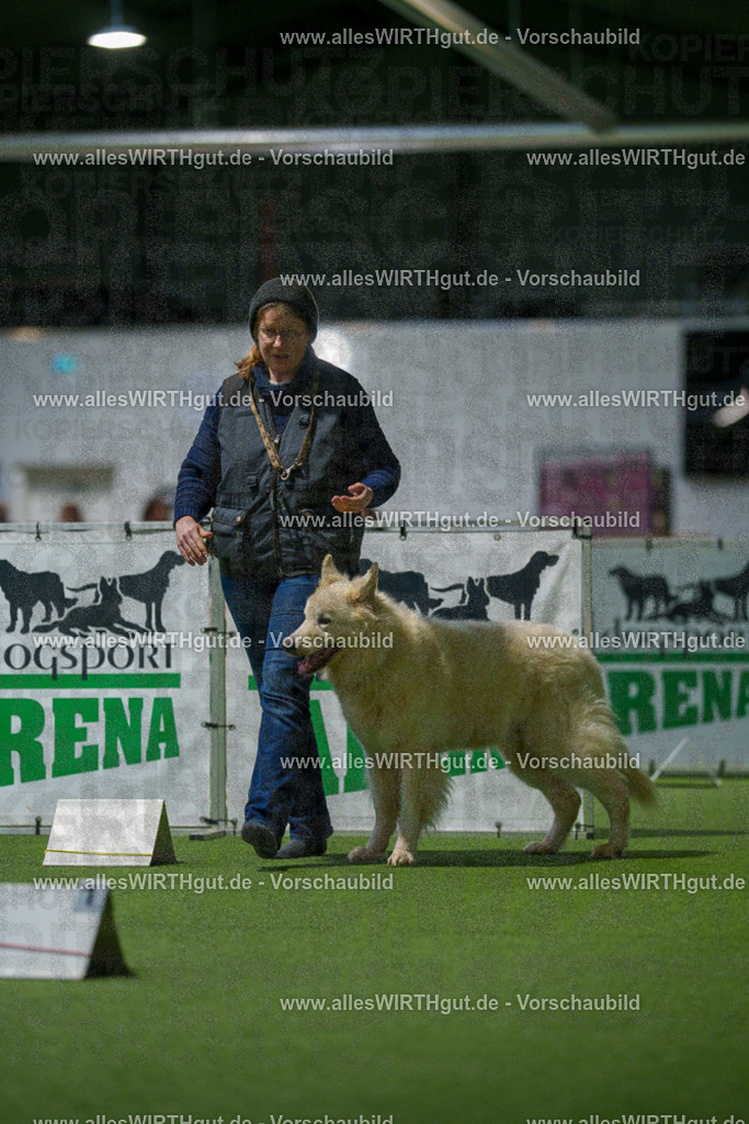 7R504167 | Professionelle Tierfotografie in Mönchengladbach von Daniel Wirth (allesWIRTHgut). Liebevolle & natürliche Bilder von Hunden & Katzen für unvergessliche Erinnerungen.