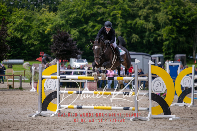 IMG_5721 | Turniersportfotografie; Pferdefotografie; Dressurfotografie