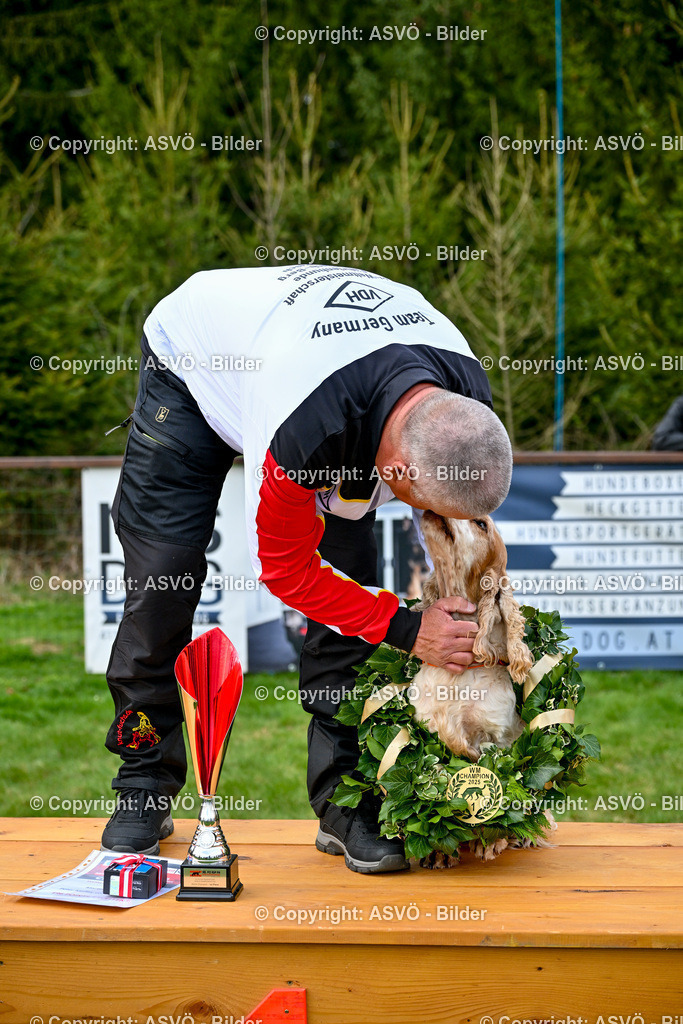 ASVÖ_ Tracking Dog World Championship 2025_ 05.04.2025-197 | bilder.asvo-sport - Realisiert mit Pictrs.com