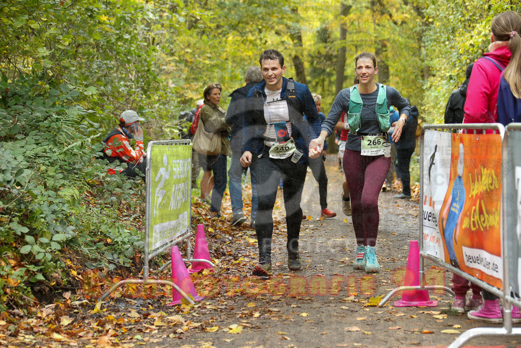 251026_1316_EX1_3045 | Sportfotografie im Rhein-Sieg Kreis, Köln, Bonn, NRW, Rheinland Pfalz, Hessen, etc. Unser Tätigkeitsfeld umfasst den Laufsport vom Volkslauf über den Marathon, Duathlon, Triathon bis zum Ultralauf wie Kölnpfad Ultra oder Schindertrail.
