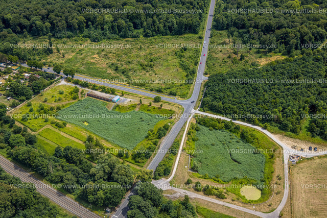 Castrop-Rauxel220706456 | Luftbild, Wiesen an der Viktorstraße Ecke Westring, Bladenhorst, Castrop-Rauxel, Ruhrgebiet, Nordrhein-Westfalen, Deutschland