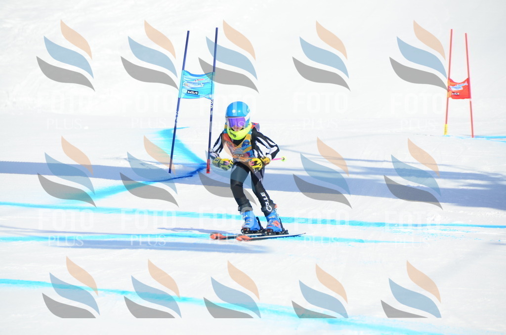 DSC_0460 | holidayphoto