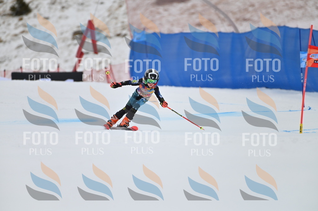 BGV_0187 | holidayphoto