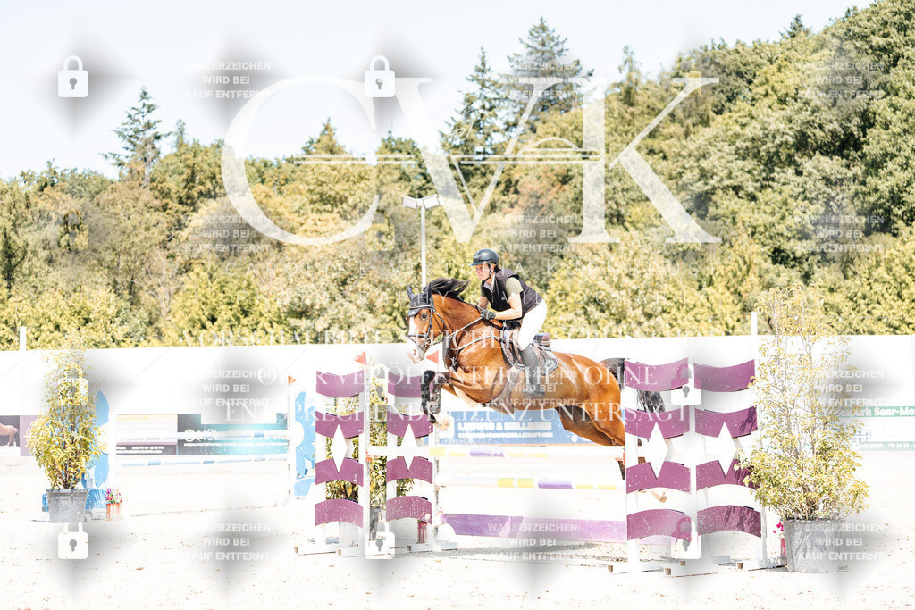 CK900903 | Turnierfotografie Pferdefotografie Trier Rheinland-Pfalz Pferdesport Reitsport Tierfotografie Sportfotografie Pferdevideo Pferdevideografie Equestrianvideography equestrianphotography  - Realisiert mit Pictrs.com