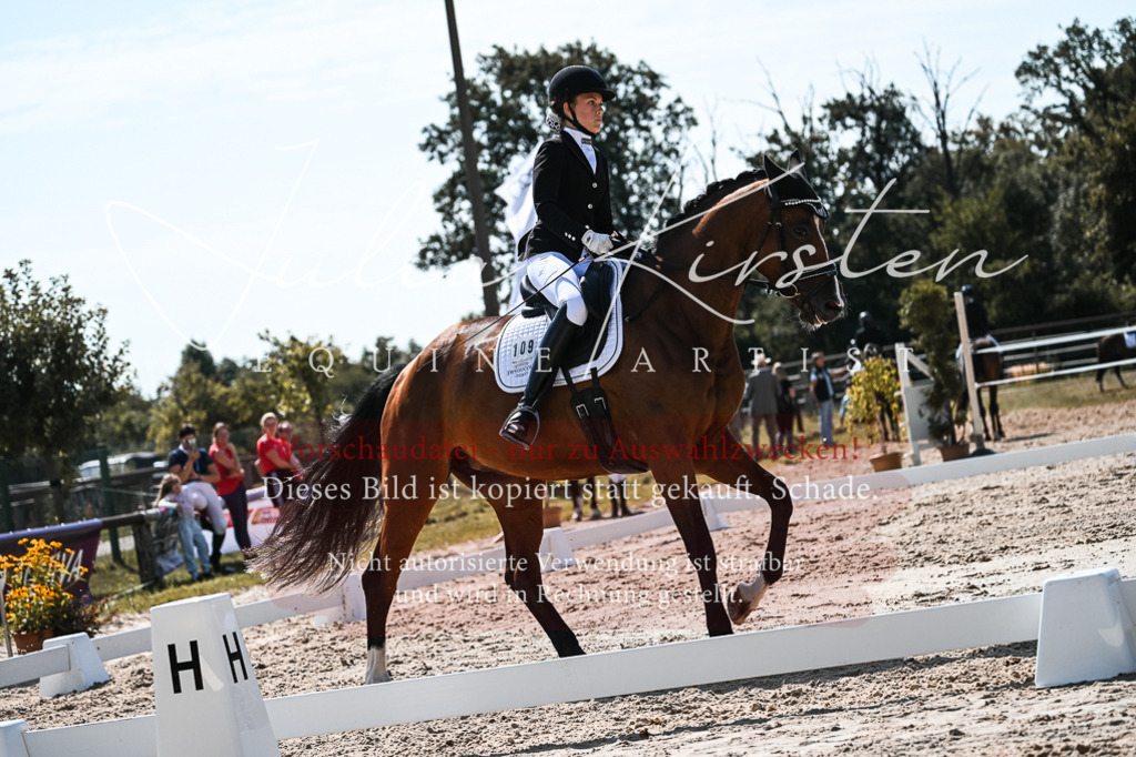DSC_5064 | Pferde- und Turnierfotografie in Westsachsen. Pferdeportraits, Auftragszeichnungen und intuitive Kunst.