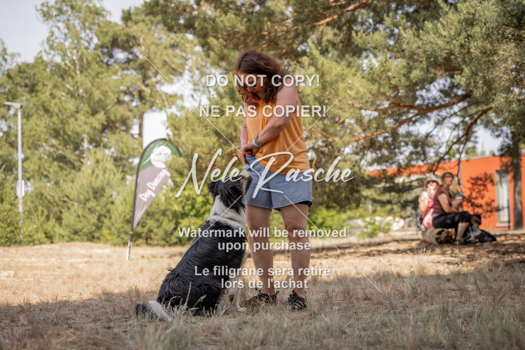 nelerasche_soDD2_452 | nelerasche