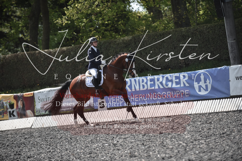 20230513_JK-Röhrsdorf-14-669 | Pferde- und Turnierfotografie in Westsachsen. Pferdeportraits, Auftragszeichnungen und intuitive Kunst.