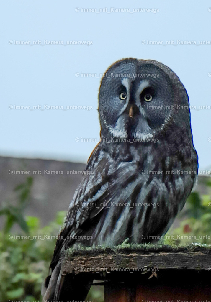 9I4A4027 | immer_mit_kamera_unterwegs