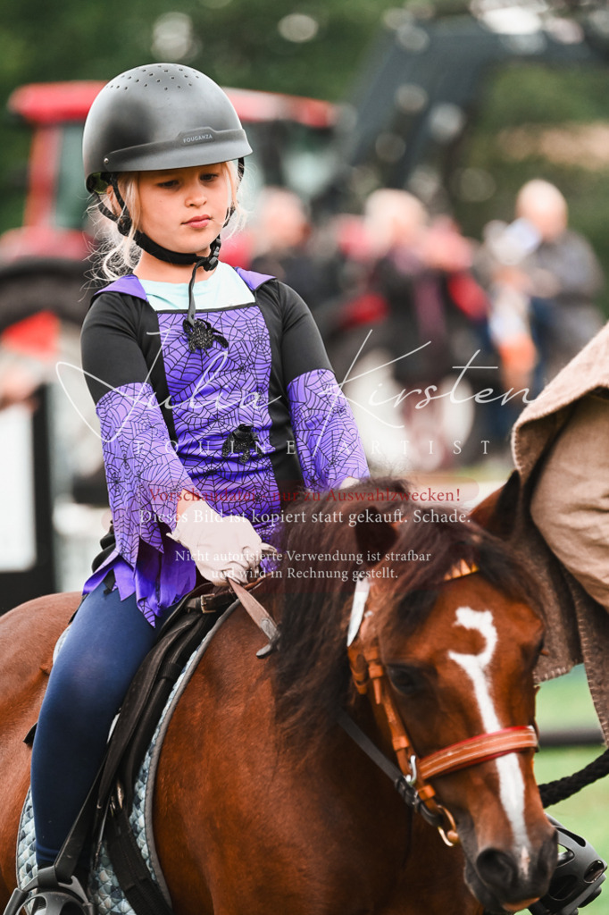 DSC_7625 | Pferde- und Turnierfotografie in Westsachsen. Pferdeportraits, Auftragszeichnungen und intuitive Kunst.