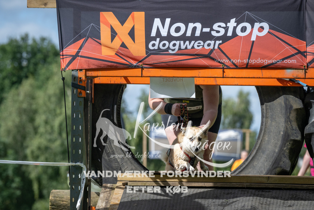 1540_ZZ93640 | kk-dogfotos