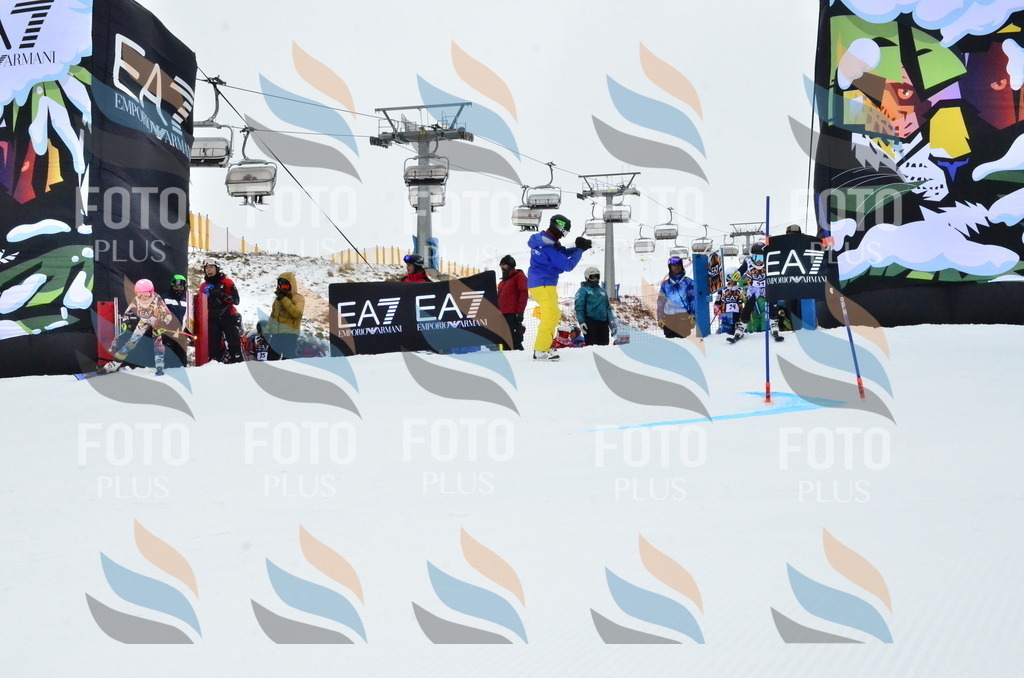 _ELE3229 | holidayphoto