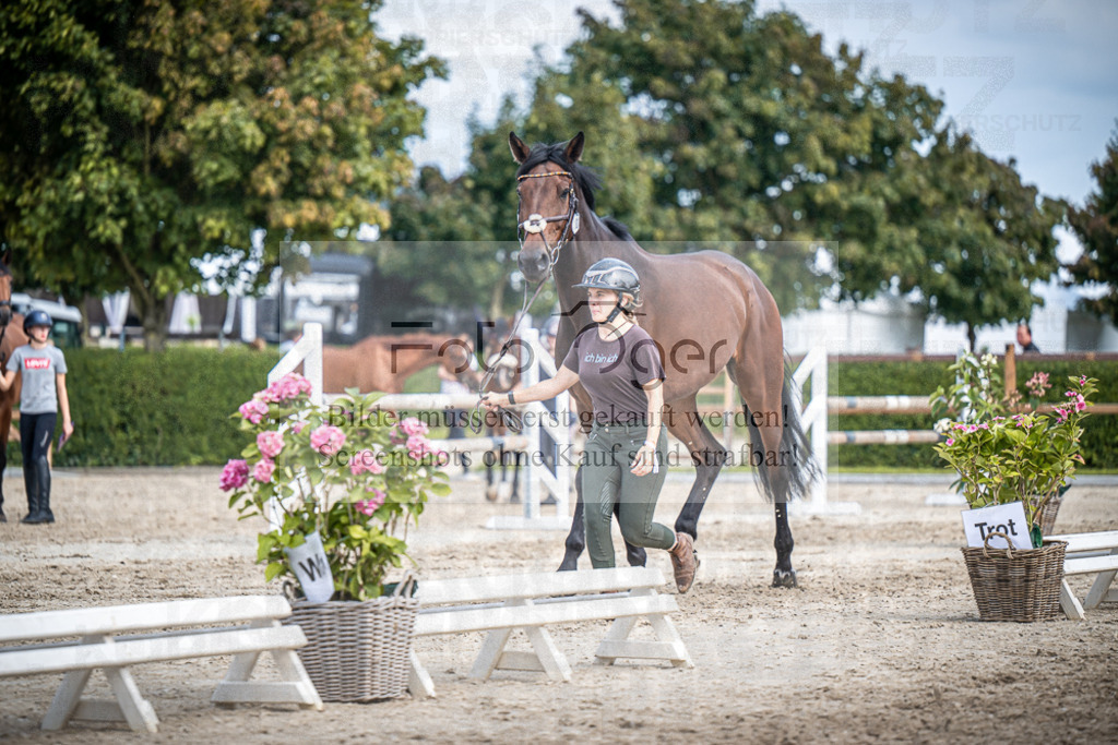 DOS_1586 | Entdecke hochwertige Reitturnierfotos von Foto Oger. Professionell, emotional und authentisch – jetzt Lieblingsmomente im Shop bestellen.Deutschlandweite Turnierfotografie. - Realisiert mit Pictrs.com