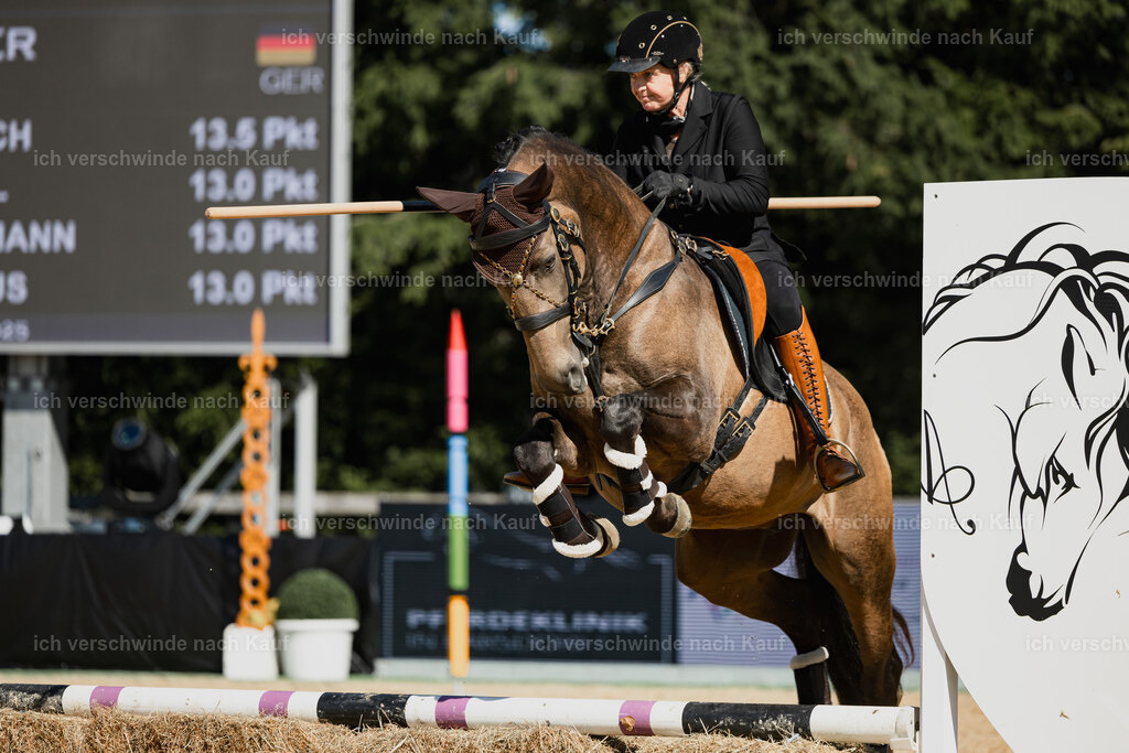 Katja7_FHC2025-27493 | working equitationturnier fotograf videograf stoibphotography marixx film working equitation deutschland reitsport turnierfotografie eventfotografie equestrian events