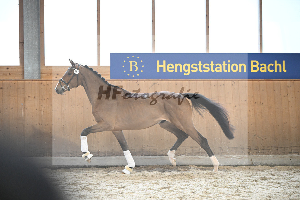 Kat-Nr. 65 Vincero HS v. Vingino_Sommer_5252135 | hf-fotografie - Realisiert mit Pictrs.com