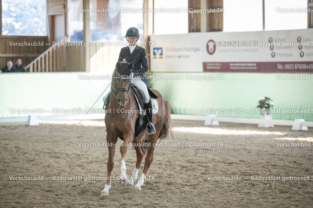 _D5A0074 | Emotionale Pferde- & People-Fotografie rund um Heidelberg, Leimen & Umgebung. Natürliche Fotos von Pferd, Mensch & Familie. Jetzt Termin sichern!