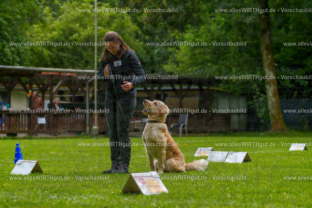 @allesWIRTHgut_Tierfotografie - www.allesWIRTHgut.de - 7R501619 | Professionelle Tierfotografie in Mönchengladbach von Daniel Wirth (allesWIRTHgut). Liebevolle & natürliche Bilder von Hunden & Katzen für unvergessliche Erinnerungen.