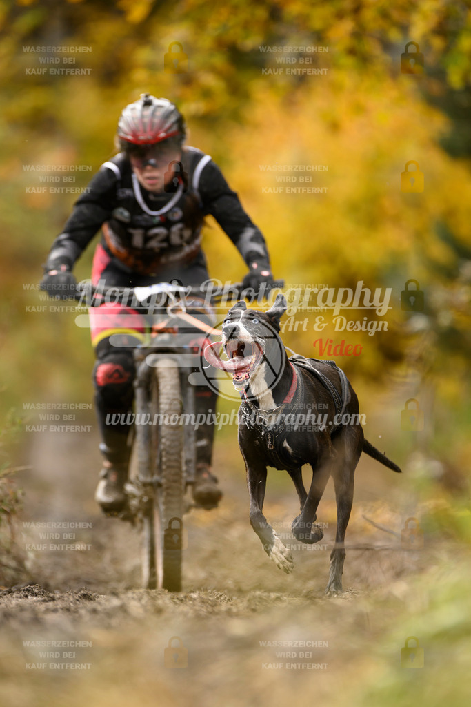 MompixPhotography_ICF_WC_2024_SA_Bike_-112 | PayLife