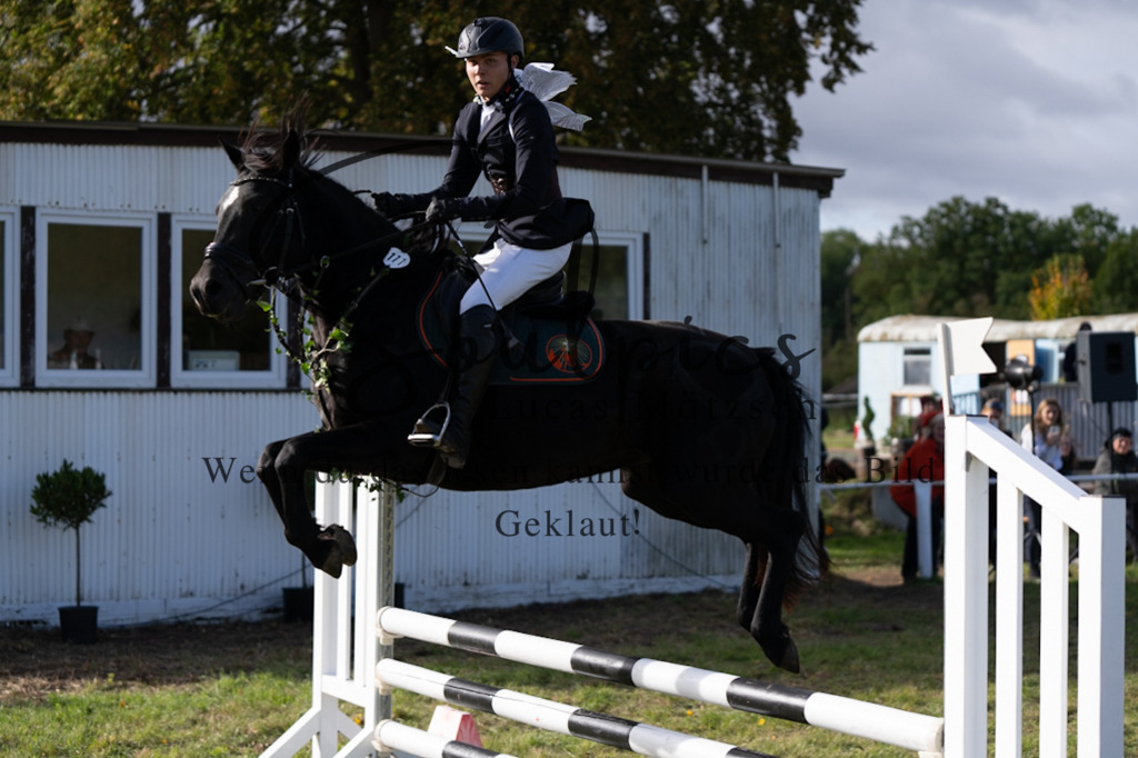 A7V06574 | Pferdefotograf