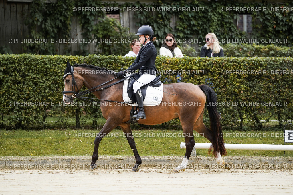 DSC04297 | Pferdegrafie