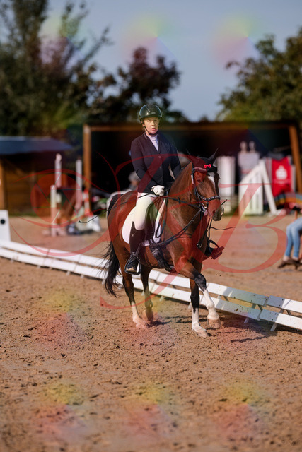 2026_10_03_Siefer-Hof_115806_Z81_00072148 | Professionelle Reitsport-, Turnier- und Eventfotografie von Robert Broda. Galerien mit ausgewählten und bearbeiteten Bildern direkt online ansehen und bestellen.