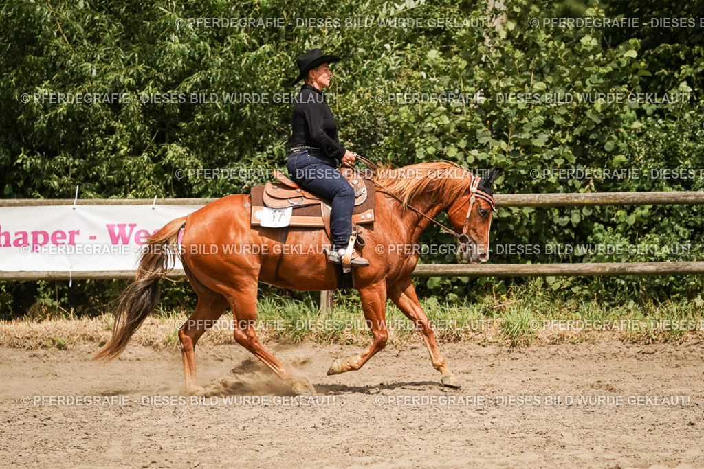 DSC00603 | Pferdegrafie