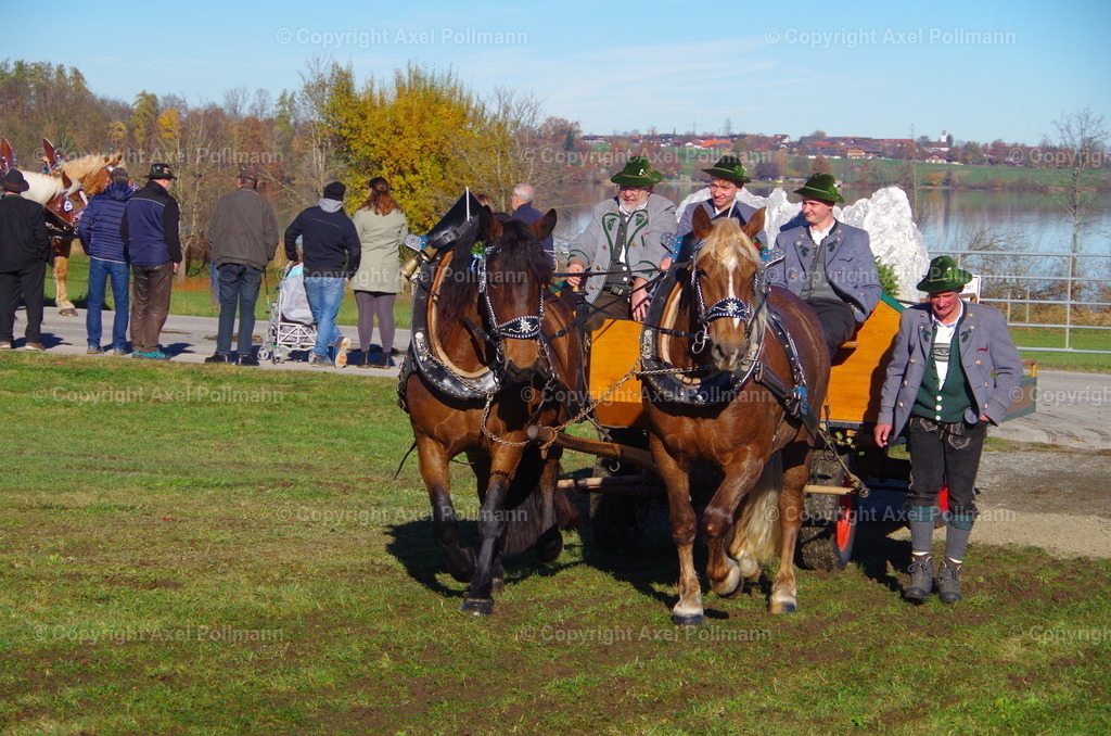 IMGP7563 | fotografiert von Axel PollmannLeonhardi Wallfahrt Benediktbeuern und Murnau, Fronleichnam, Fasching, Landschaft im Loisachtal und Benediktbeuern  - Realisiert mit Pictrs.com