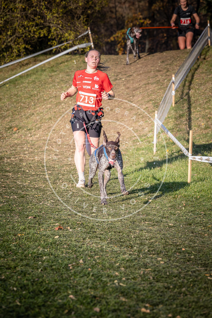 CaniXpix_0L8A9628 | Hundefotografie, Tierfotograf, Pfotenfotografie, Fotoshooting Hund, Hunde Portrait, Hundesport, Hundeportraits, Heideshooting, Hunde, Sportfotograf, Hundefotograf, Turnierhundsport, THS,  - Realisiert mit Pictrs.com