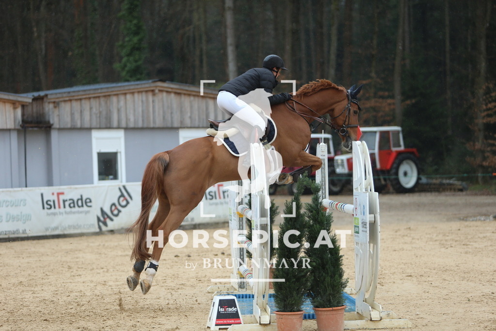 DL2Q6876 | Willkommen bei Brunnmayr - Design & Fotografie – Ihrem Spezialisten für Reitturniere und Pferdeveranstaltungen in Oberösterreich, Salzburg und Bayern! Seit über 17 Jahren sind wir leidenschaftlich dabei.