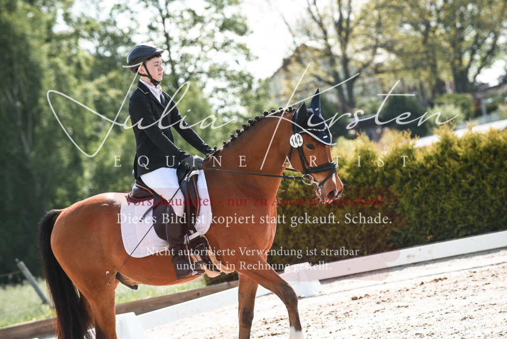 20230518_JK-Röhrsdorf-09-1443 | Pferde- und Turnierfotografie in Westsachsen. Pferdeportraits, Auftragszeichnungen und intuitive Kunst.