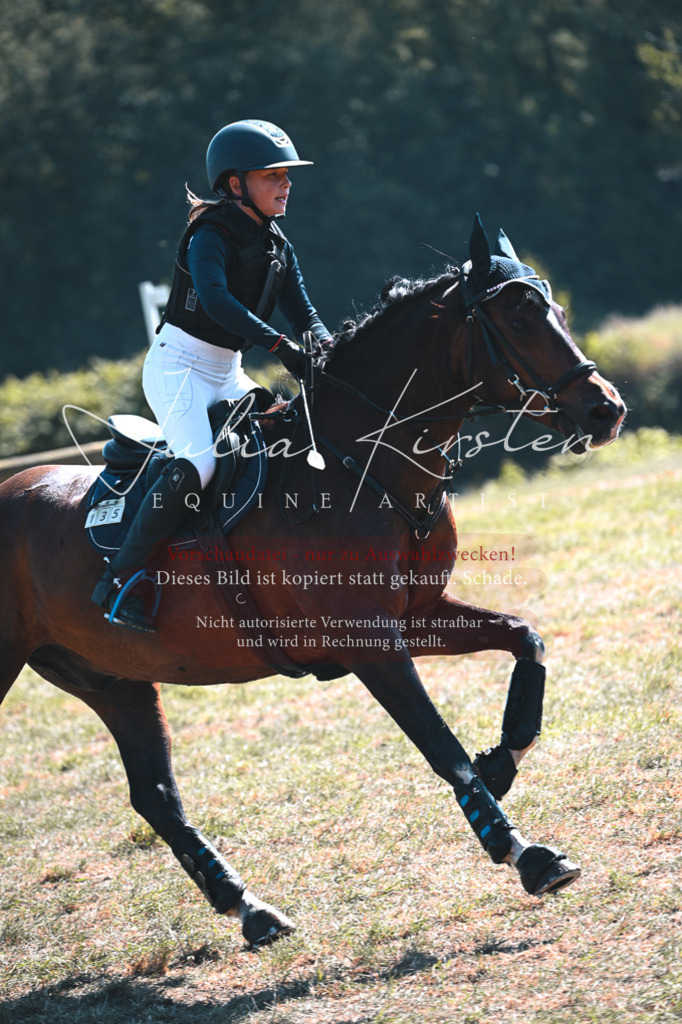 DSC_8385 | Pferde- und Turnierfotografie in Westsachsen. Pferdeportraits, Auftragszeichnungen und intuitive Kunst.