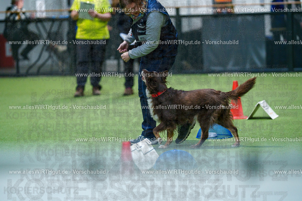 7R504212 | Professionelle Tierfotografie in Mönchengladbach von Daniel Wirth (allesWIRTHgut). Liebevolle & natürliche Bilder von Hunden & Katzen für unvergessliche Erinnerungen.
