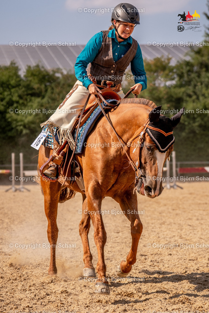 LMS08304 | BS-foto