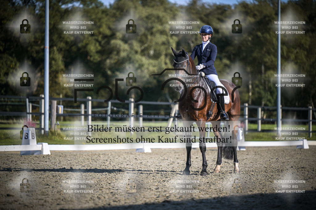 DOS_B810 | Entdecke hochwertige Reitturnierfotos von Foto Oger. Professionell, emotional und authentisch – jetzt Lieblingsmomente im Shop bestellen.Deutschlandweite Turnierfotografie. - Realisiert mit Pictrs.com