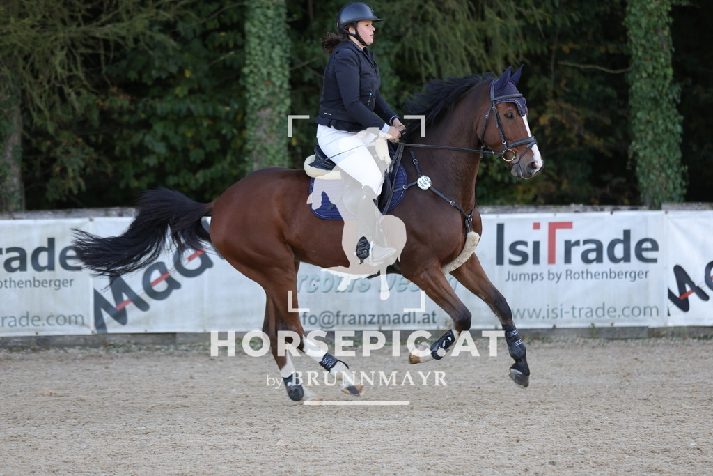 0P6A1967 | Willkommen bei Brunnmayr - Design & Fotografie – Ihrem Spezialisten für Reitturniere und Pferdeveranstaltungen in Oberösterreich, Salzburg und Bayern! Seit über 17 Jahren sind wir leidenschaftlich dabei.