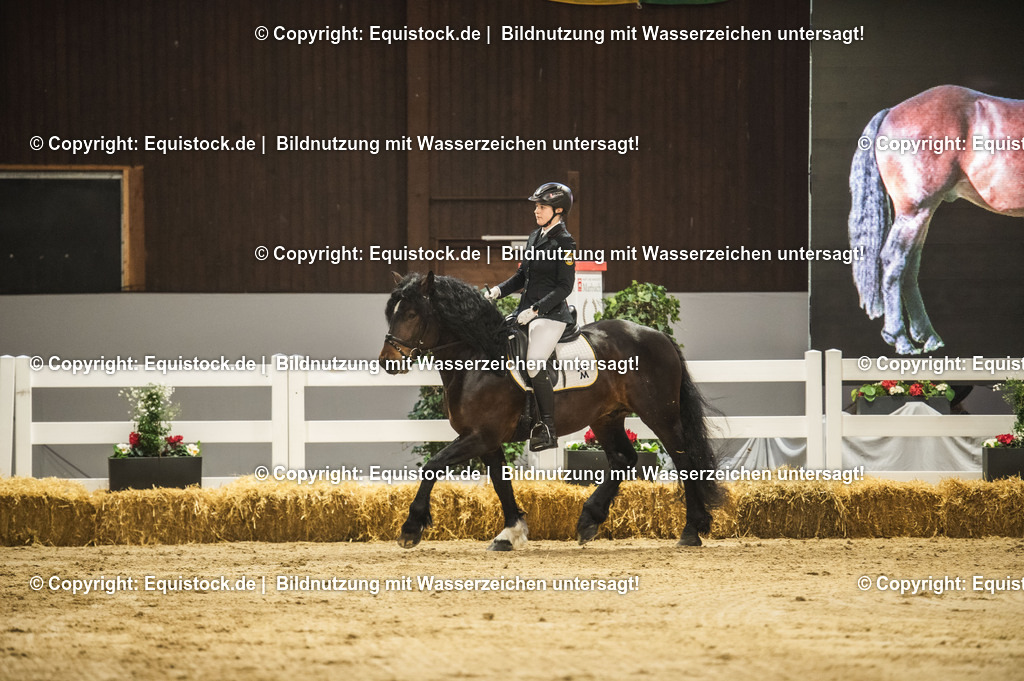 20240302_Hengstvorstellung_Marbach_TOMsPiC_0276 | equistock