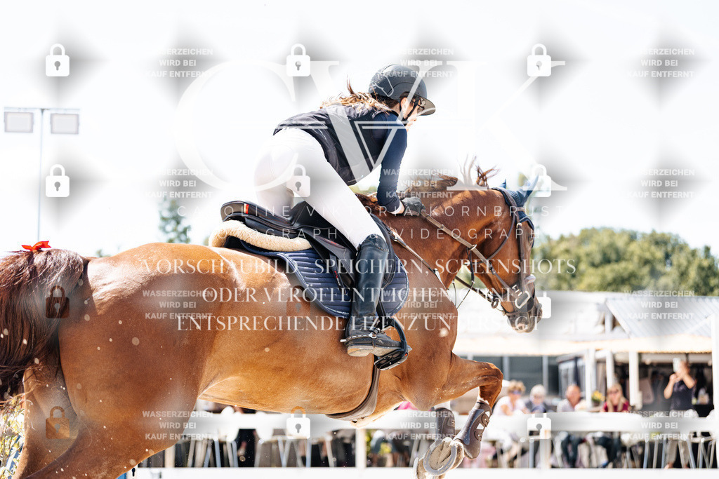 CK907804 | Turnierfotografie Pferdefotografie Trier Rheinland-Pfalz Pferdesport Reitsport Tierfotografie Sportfotografie Pferdevideo Pferdevideografie Equestrianvideography equestrianphotography  - Realisiert mit Pictrs.com