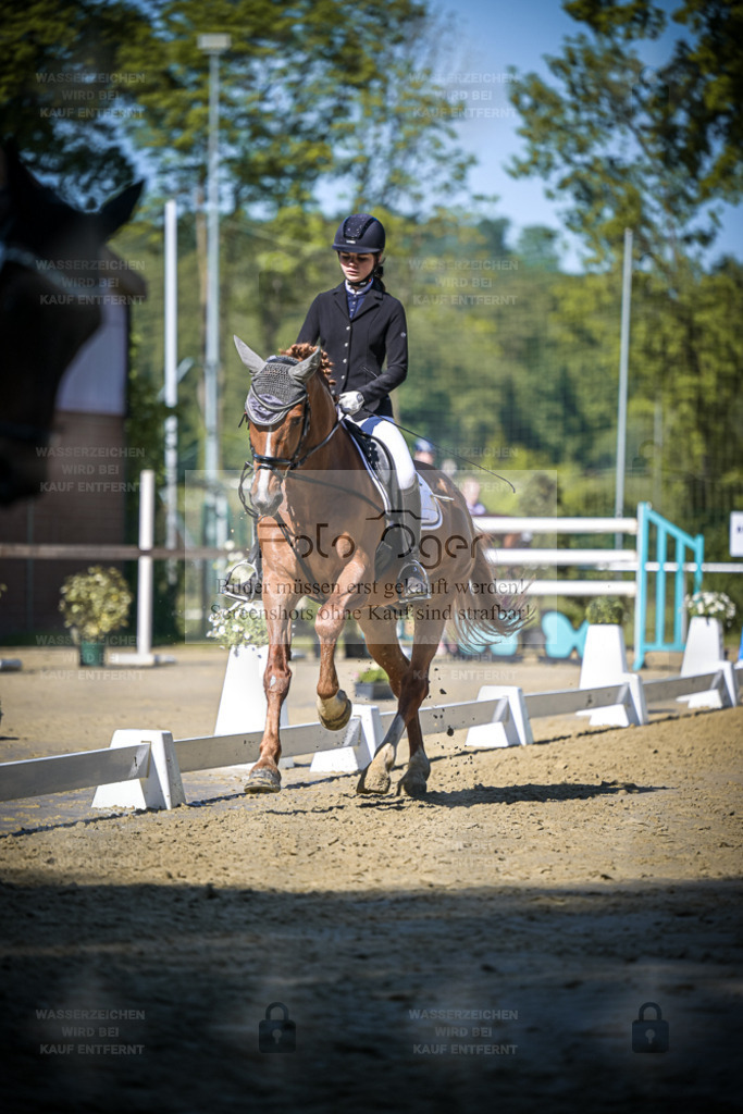 DOS_4445 | Entdecke hochwertige Reitturnierfotos von Foto Oger. Professionell, emotional und authentisch – jetzt Lieblingsmomente im Shop bestellen. - Realisiert mit Pictrs.com