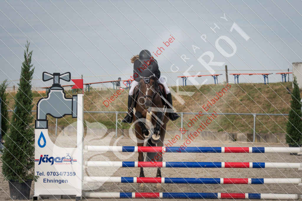 ND5_8740 | Sport-, Event- und Tierfotos in Profiqualität. Einfach auswählen, bestellen und herunterladen. Dein Moment – perfekt festgehalten.