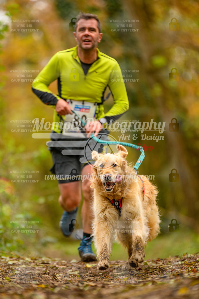 MompixPhotography_Bischwiller24_SA_Canicross-116 | PayLife