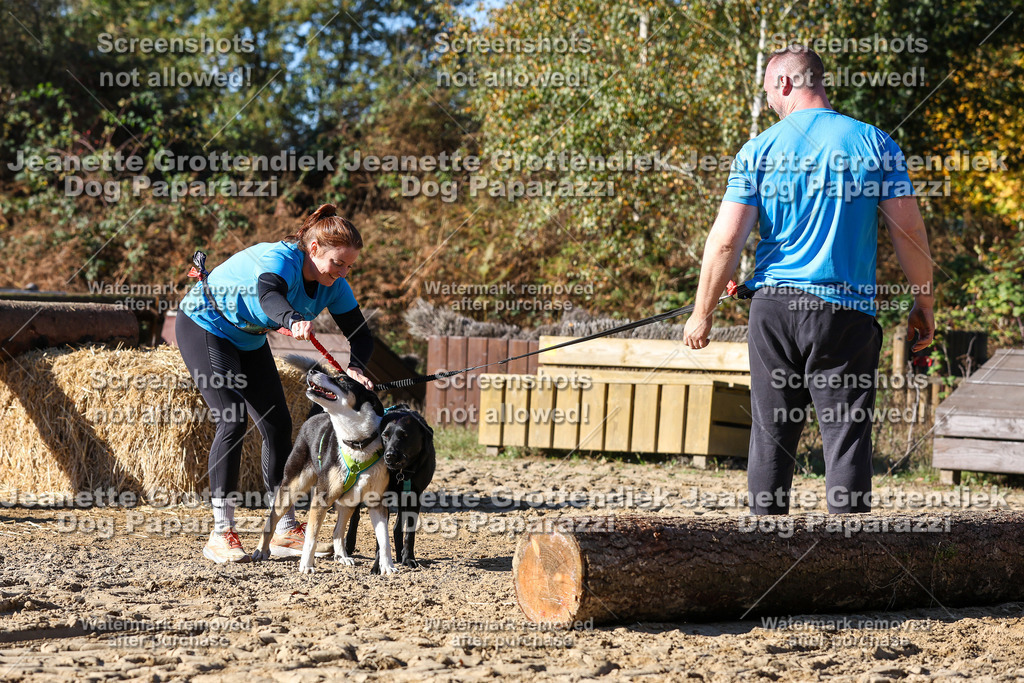 Dog Paparazzi - Strongdog 10-25-2820 | Dog Paparazzi Jeanette Grottendiek Fotografie & Videografie - Realisiert mit Pictrs.com