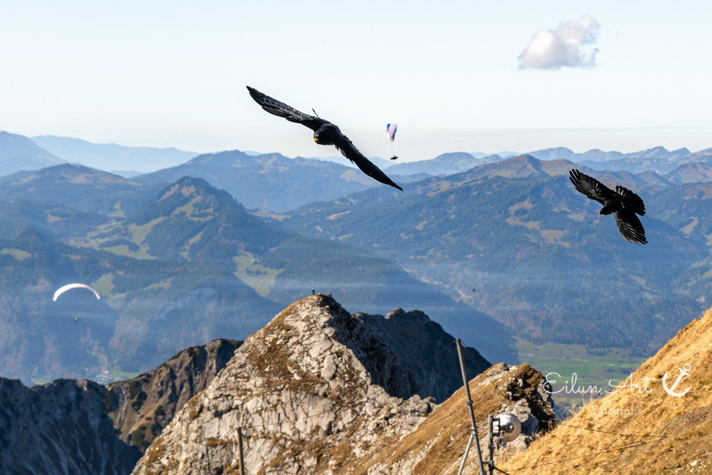 20241029-EAF_5084 | Eilun-Art-Fotografie Levke Martens, ihre Fotografin für Immobilien- und Landschaftsfotografie auf Föhr, Föhrer Motive als Poster, Leinwand, hinter Acrylglas oder stelle dir deinen eigenen Monatskalender zusammen, mit nur einem Klick