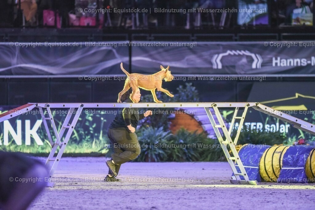 20231115_Dog-Agility_0114_TOMsPiC | Foto: Thomas Hartig