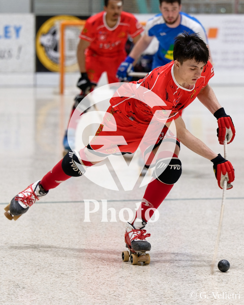 DSC_6640 | Velletri Photo