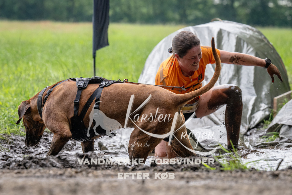 0946_ZZ91674 | kk-dogfotos