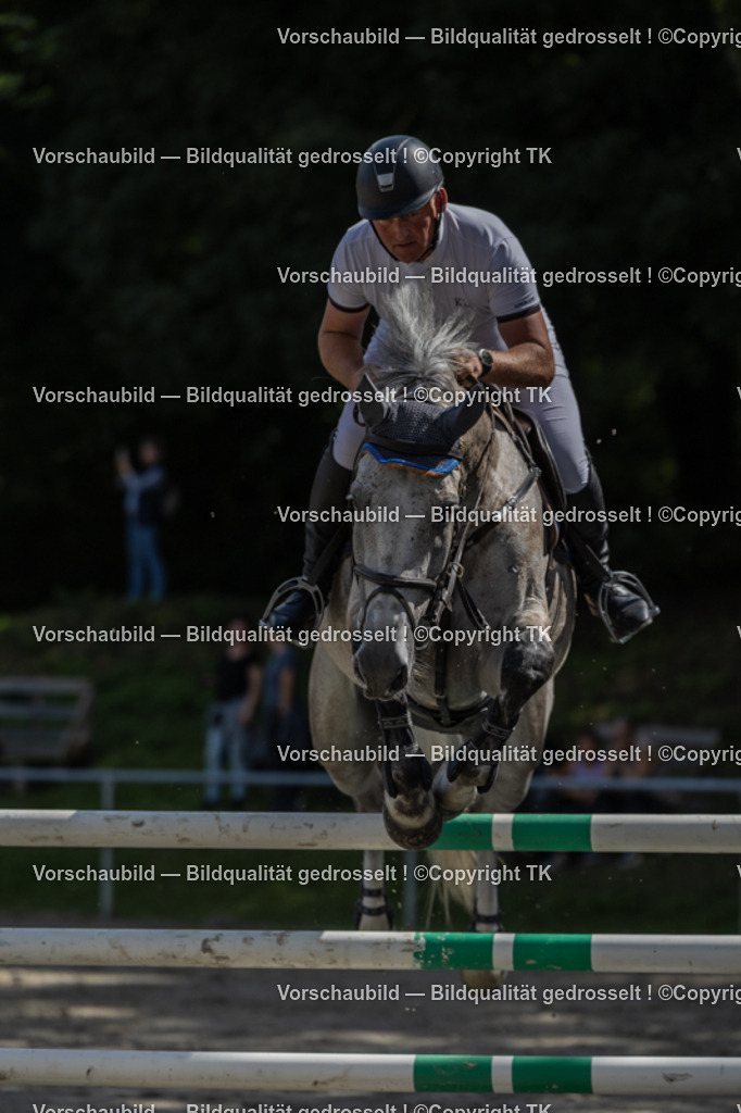 _D5A1415 | Emotionale Pferde- & People-Fotografie rund um Heidelberg, Leimen & Umgebung. Natürliche Fotos von Pferd, Mensch & Familie. Jetzt Termin sichern!