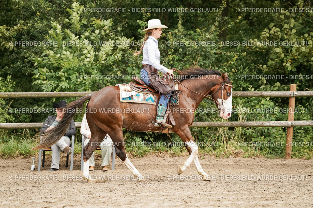 DSC09161 | Pferdegrafie