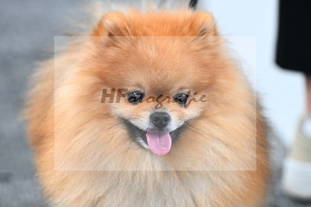 Impressionen_5251526 | hf-fotografie - Realisiert mit Pictrs.com