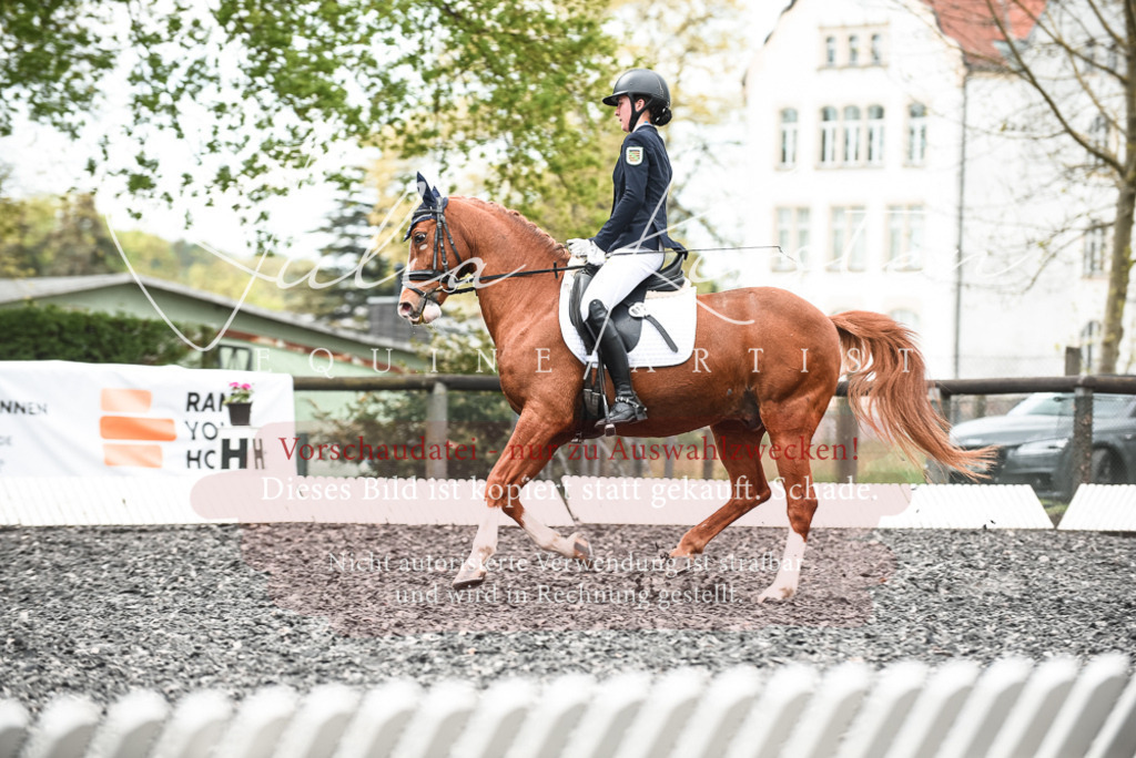 20230514_JK-Röhrsdorf-24-231 | Pferde- und Turnierfotografie in Westsachsen. Pferdeportraits, Auftragszeichnungen und intuitive Kunst.