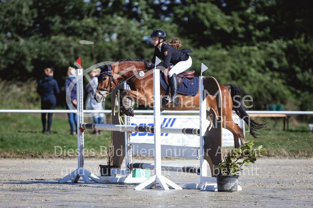 240615_CoesfeldLette_Stil-A-227 | Deine schönsten Turniermomente als professionelle Fotos! Entdecke hochwertige Pferdesport-Fotografie im Online-Shop. Jetzt Fotos finden & bestellen!